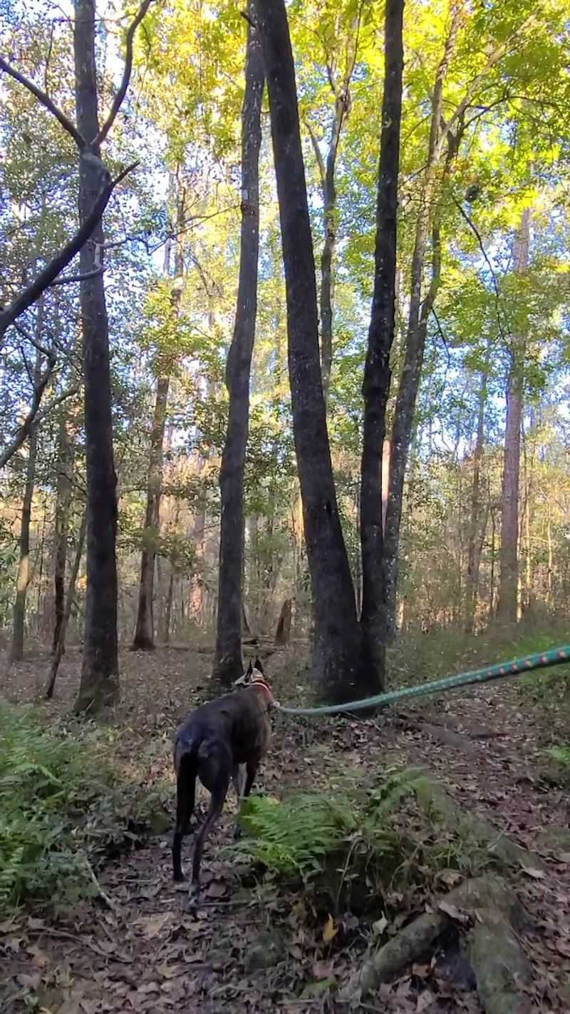Following the Florida Trail Into Rugged Terrain