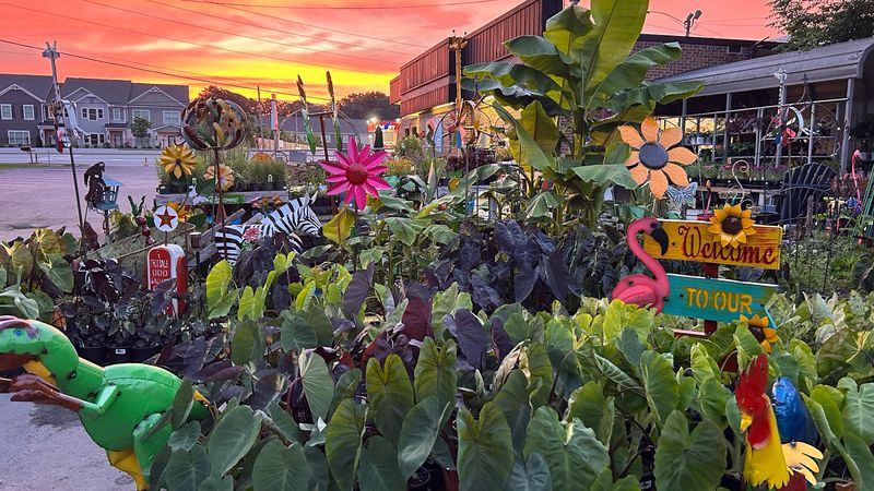 Busy B Plant Supply