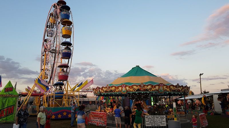 Warren County Fairgrounds Antiques & Collectibles Flea Market, Front Royal, Warren County