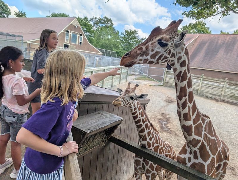 Metro Richmond Zoo (Moseley)