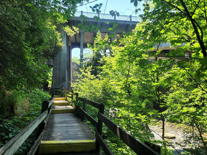 Trails, Bridges, And Gorge Views