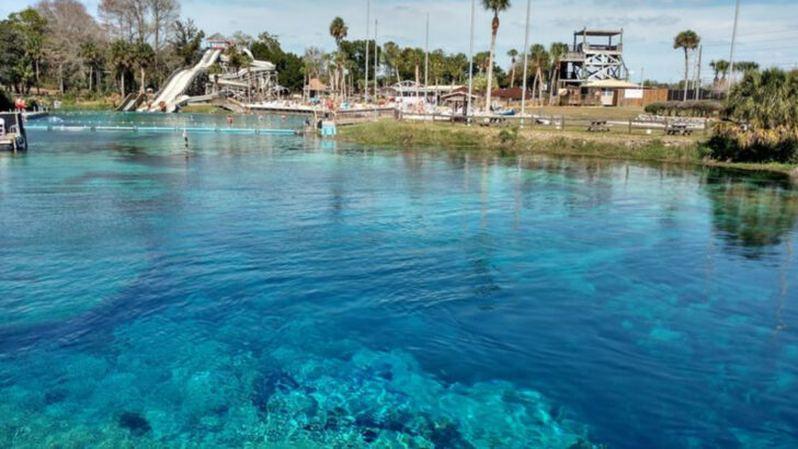These 10 Crystal-Clear Florida Springs Feel Like A Lifesaver In June