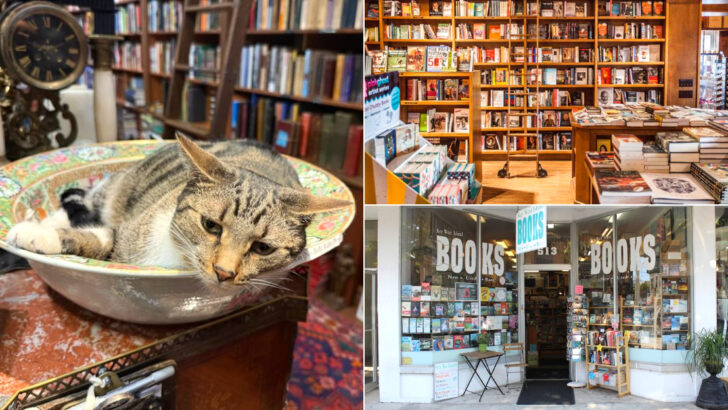 These 10 Florida Hidden Bookshops Are Tucked Between Beaches and Busy Streets