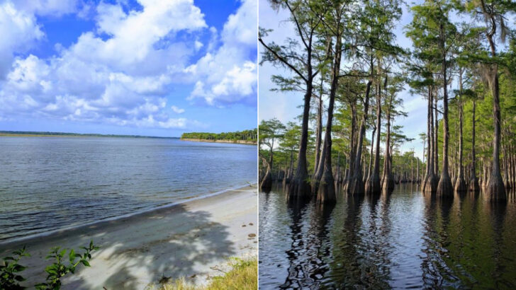 These 10 Georgia State Parks Are Perfect For A June Outdoor Adventure