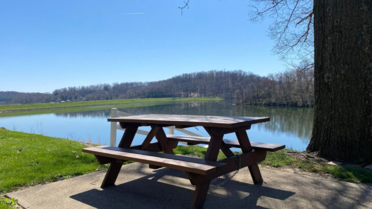 These 10 Ohio Lakes Feel Like Hidden Summer Retreats In June