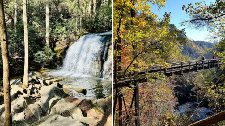 These 11 Beginner-Friendly Trails In Georgia Deliver Big Rewards With Little Effort