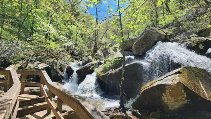 These 11 Easy North Carolina Trails Deliver Amazing Scenery Without The Struggle