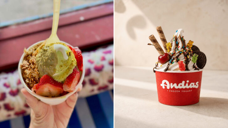 These 11 Florida Shops Turn Frozen Yogurt Into A Post-Beach Ritual