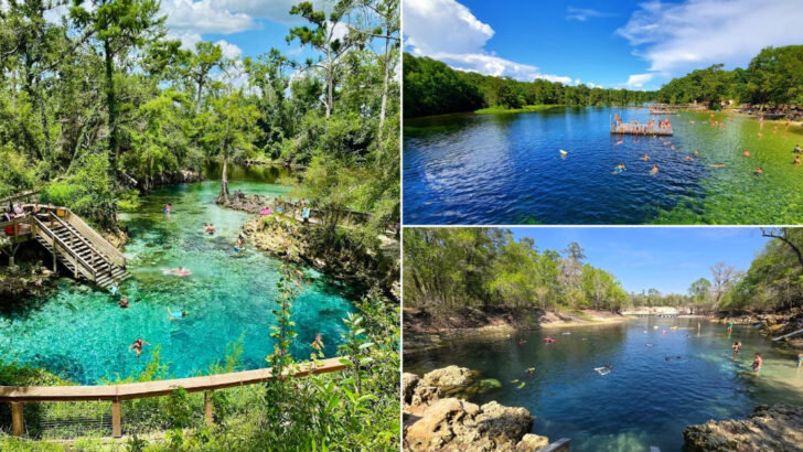 These 11 Florida Swimming Spots Are Where Locals Go To Beat The June Heat