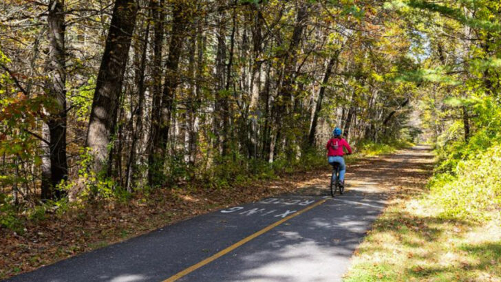 These 11 Massachusetts Bike Trails Make Long-Distance Riding Unforgettable