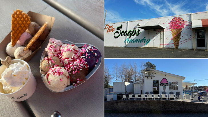 These 11 North Carolina Ice Cream Shops Are Worth Every Stop Along The Road