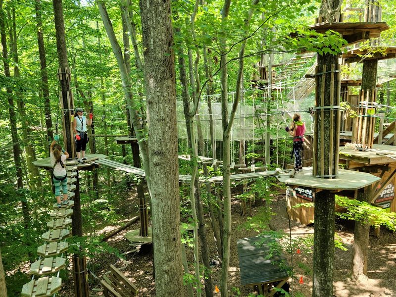 Go Ape Zipline & Adventure Park (South Run)