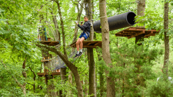 These 11 Virginia Adventure Parks Are Packed With Outdoor Excitement