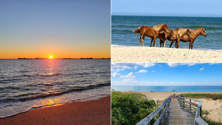 These 11 Virginia Beaches Offer More Beneath The Surface Than You&rsquo;d Expect