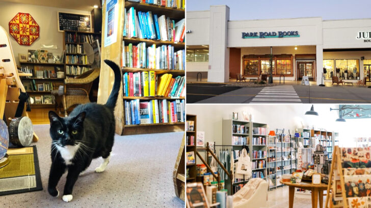 These 12 Underrated North Carolina Bookshops Are Full of Quiet Magic
