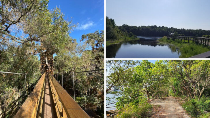 These 13 Florida Trails Make Hiking Feel Easy And Fun
