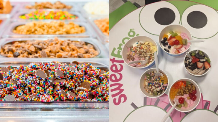 These 13 Frozen Yogurt Stops Make North Carolina Summers Way Easier To Handle