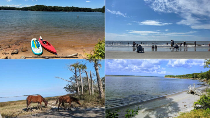 These 14 Georgia Shores Deliver The Kind Of June Day You&rsquo;ll Remember All Summer