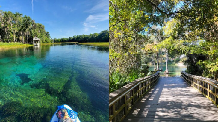 These Lesser-Known Spots In Rainbow Springs Offer A Quieter Florida Experience