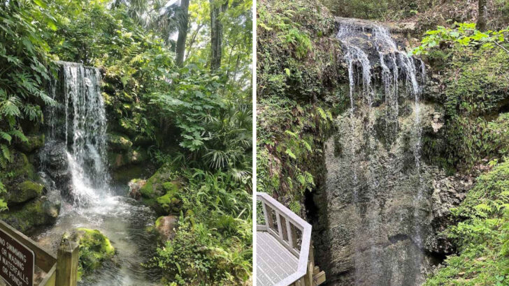 These Rare Florida Waterfalls Are Even More Beautiful To Visit In June