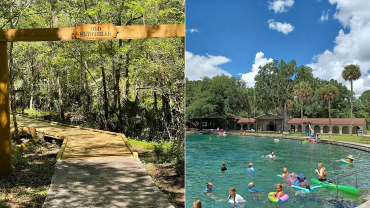 This 625-Acre Florida State Park Feels Just Right for a One-Day Escape