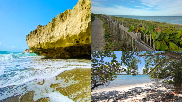This Florida Beach Sends Ocean Water Shooting Through Ancient Limestone Like A Natural Fountain