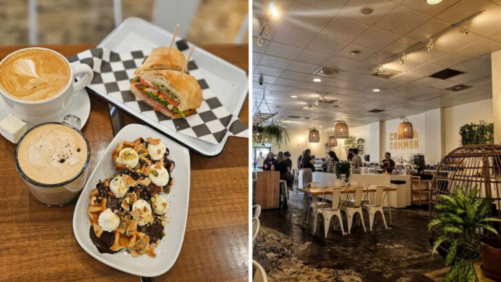 This Florida Coffee Shop Has Become A Favorite Among Coffee Lovers