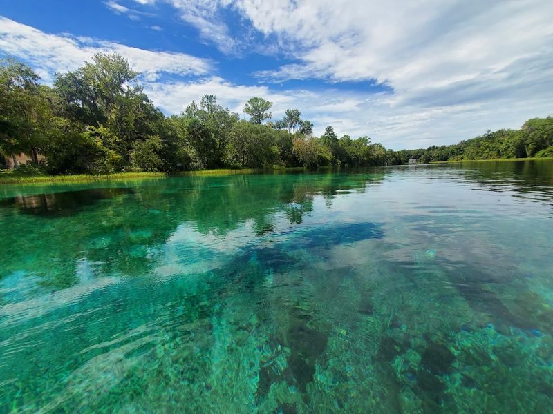 Rainbow River's Crystal Waters