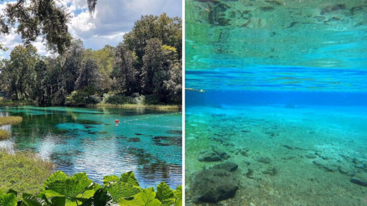 This Florida River Is So Clear You Can See 60 Feet Down to the Bottom From Your Kayak