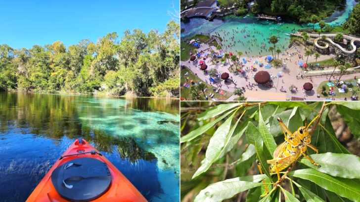 This Florida Spring Town Is Famous For Real-Life Mermaids And Crystal-Clear Water