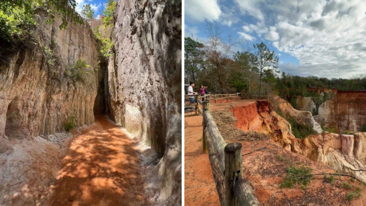 This Georgia Natural Wonder Looks Like A Desert Masterpiece Carved Into The Deep South