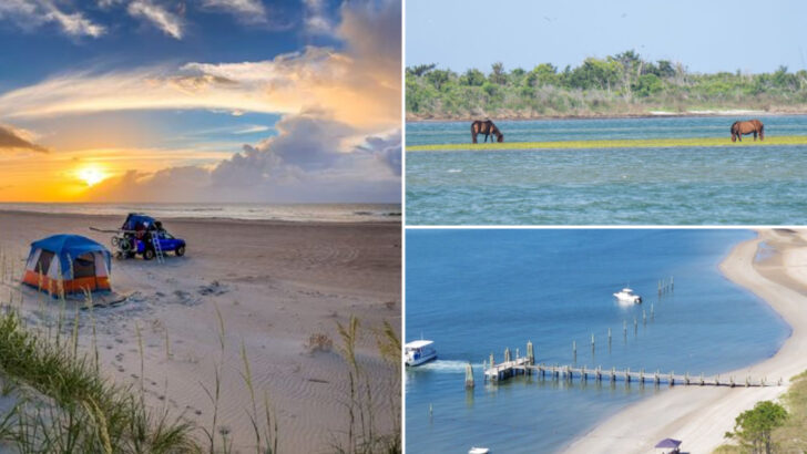 This Hidden North Carolina Coastline Is Where Wild Horses Roam Free Just Like Centuries Ago