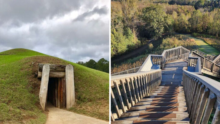 This Historic Georgia Site Shows Over 12,000 Years Of Native American Cultural Heritage