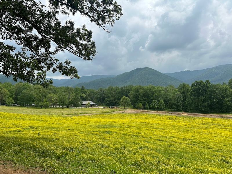 Great Smoky Mountains National Park Gateway