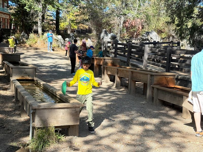 Gold Panning Adventure