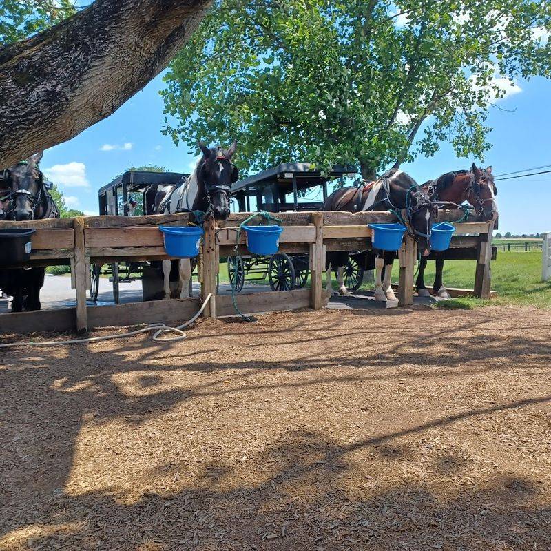 A Lancaster County Welcome That Feels Instantly Relaxing