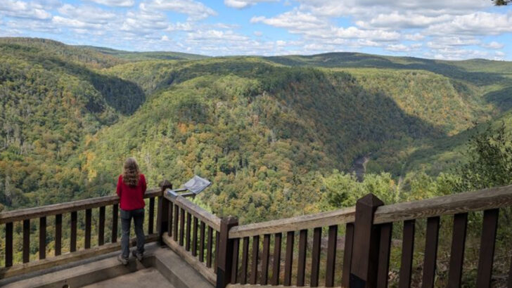 This Short Pennsylvania Trail Leads To One Of The Most Breathtaking Overlooks Of The Grand Canyon Of Pennsylvania