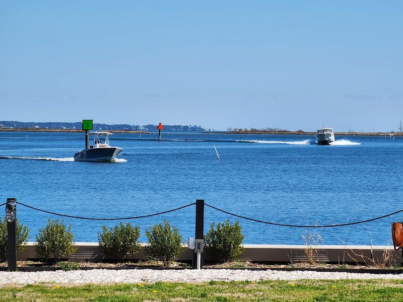 Waterfront Views That Steal The Show