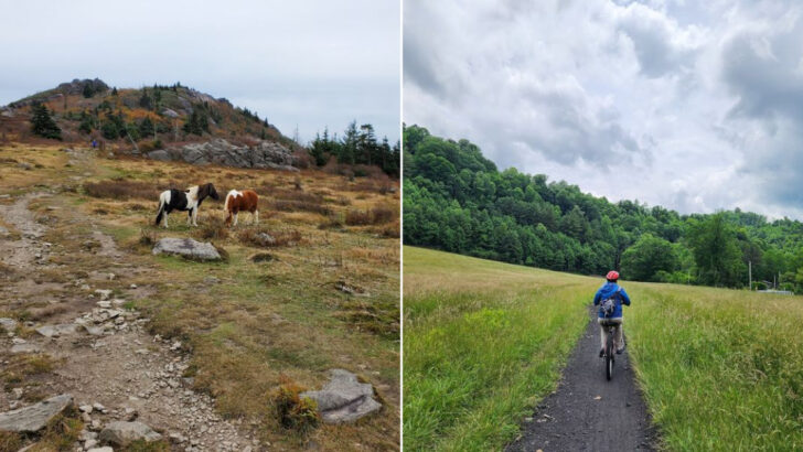 This Underrated Virginia Mountain Town Is Becoming A Favorite Escape For Nature Lovers