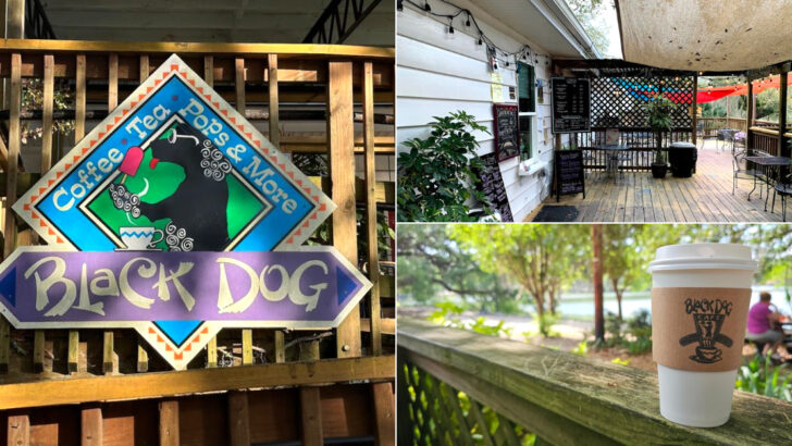 This Waterfront Florida Cafe Is The Definition Of A Relaxing Morning