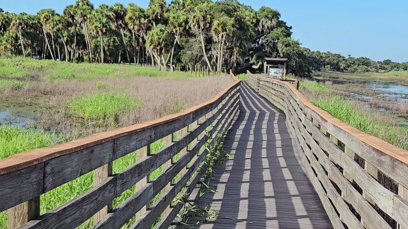 Suspended Bridge Adventure Above the Wetlands