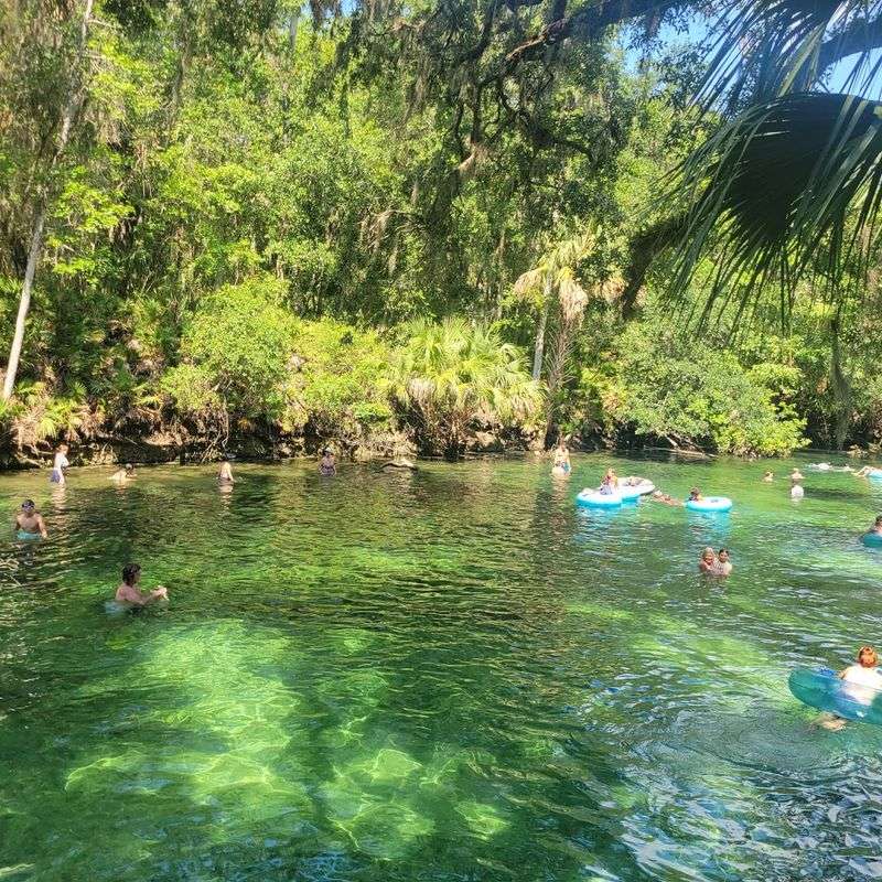 Blue Spring State Park