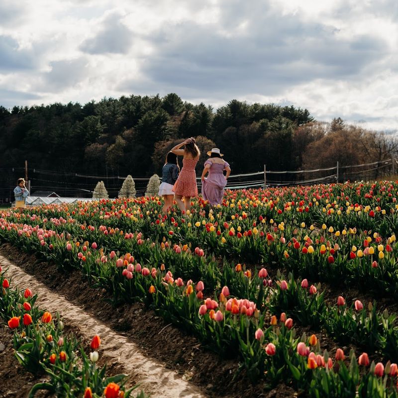 Ferjulian's Farm