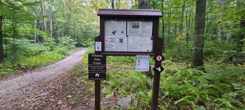 Nehantic State Forest