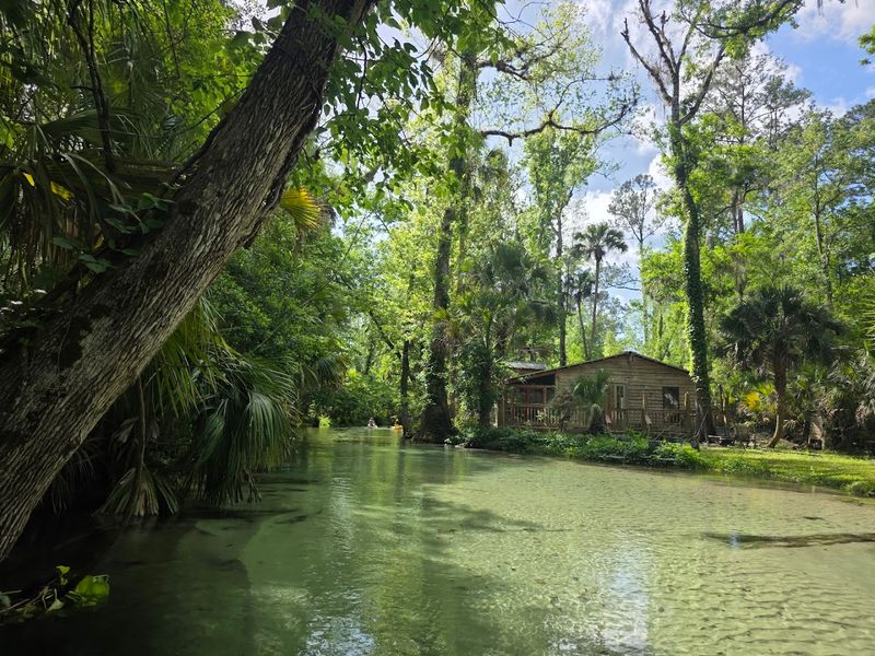 Wekiwa Springs State Park - Apopka