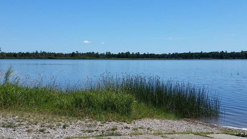Higgins Lake