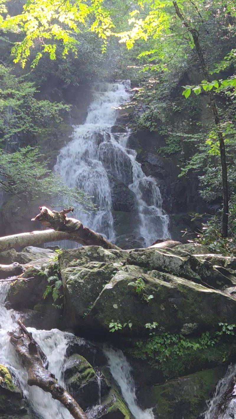 Spruce Flats Falls Trail