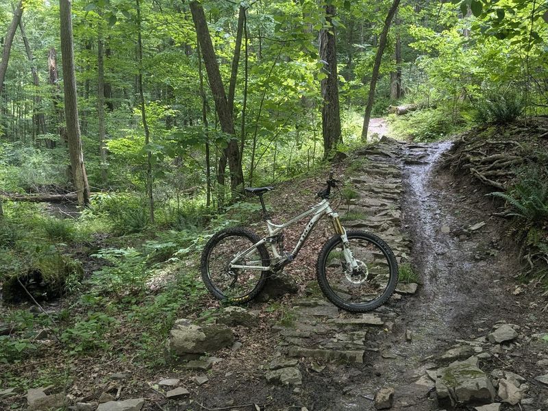 Allegrippis Trails