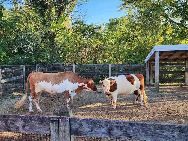 Winton Woods Farm & Equestrian Center (Cincinnati)