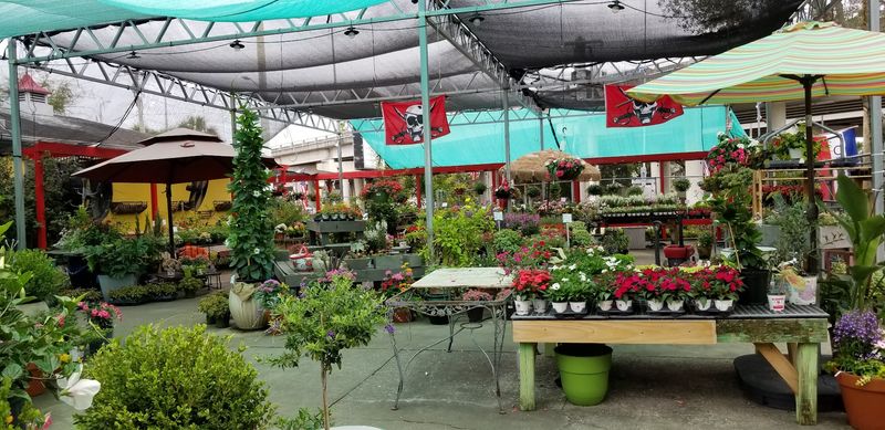 Bloom Garden Shop